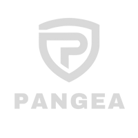 Pangea Watches